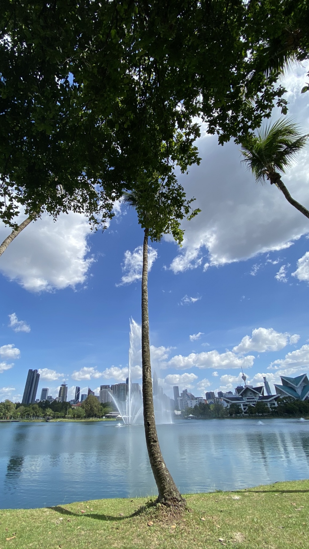 Обои отражение, природа, облако, гидроресурсы, природный ландшафт в разрешении 1080x1920