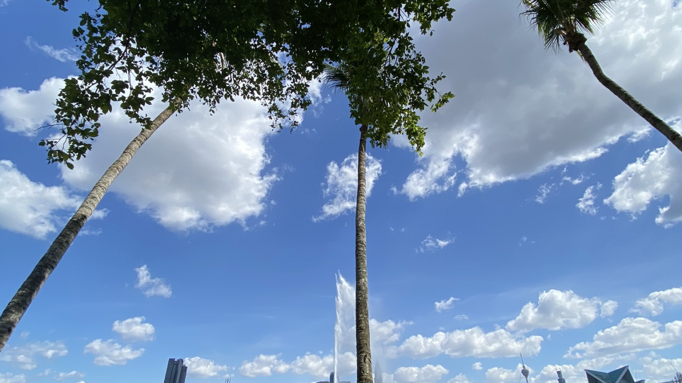 Обои отражение, природа, облако, гидроресурсы, природный ландшафт в разрешении 1366x768