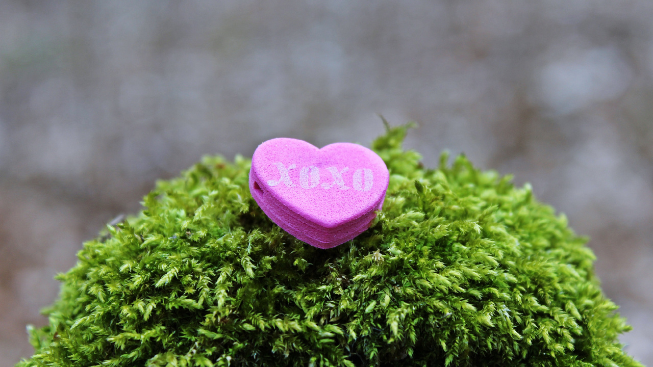 Обои любовь, роман, сердце, зеленый, розовый в разрешении 1280x720