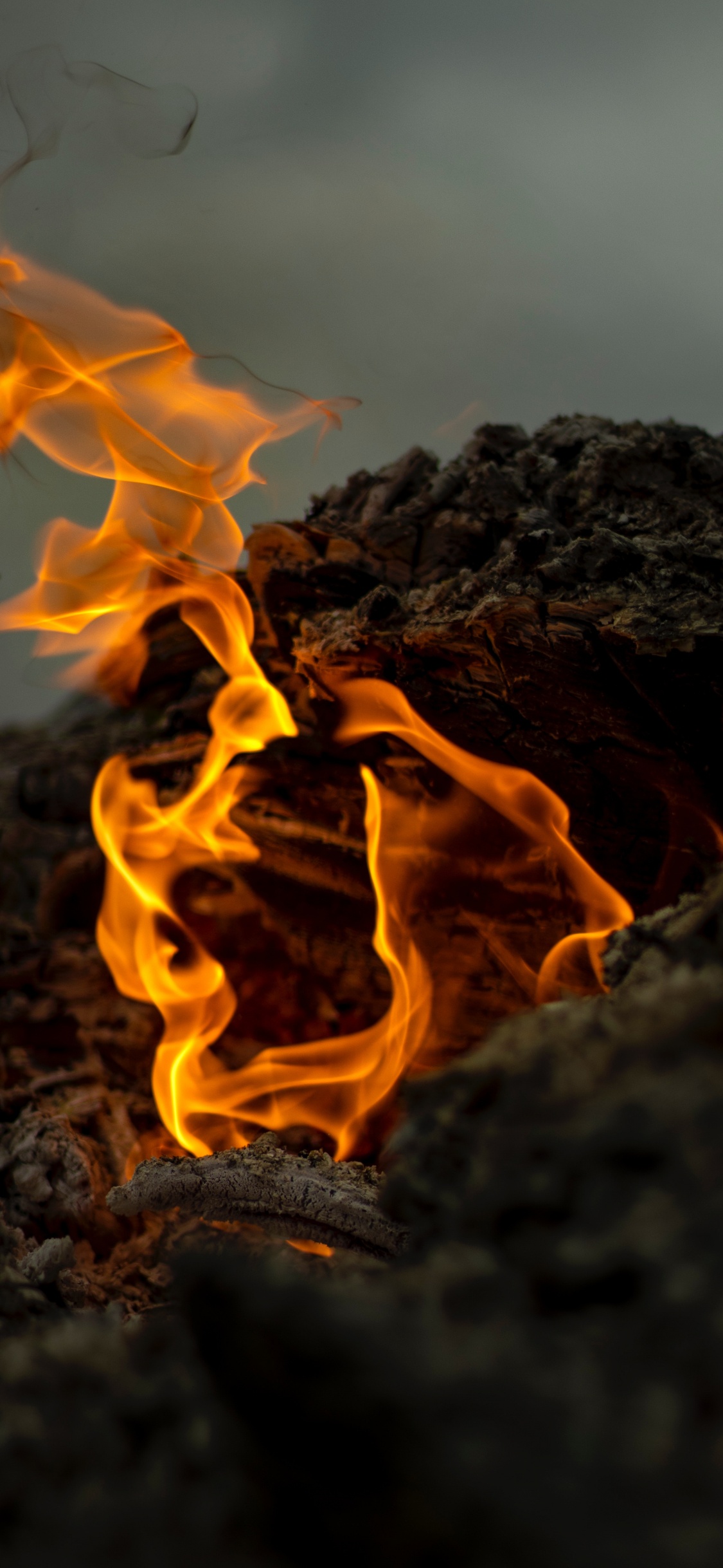 Обои огонь, пламя, тепло, зола, рок в разрешении 1125x2436