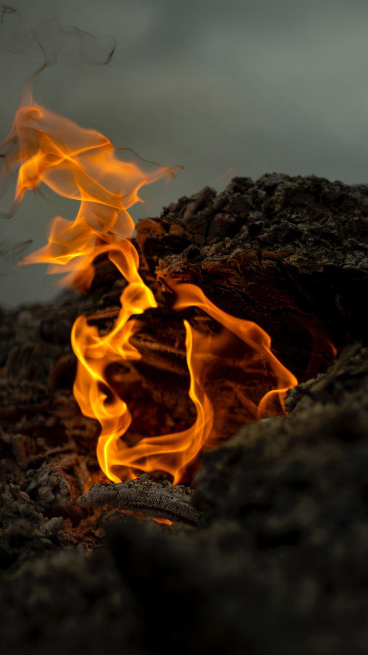 Обои огонь, пламя, тепло, зола, рок в разрешении 750x1334