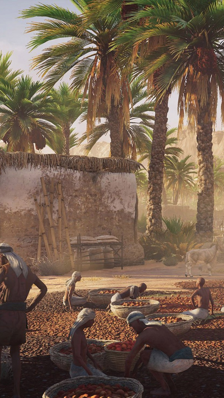 Обои assassins creed origins, ассассинс Крид II, Эцио Аудиторе, компьютерная игра, Пальма в разрешении 750x1334