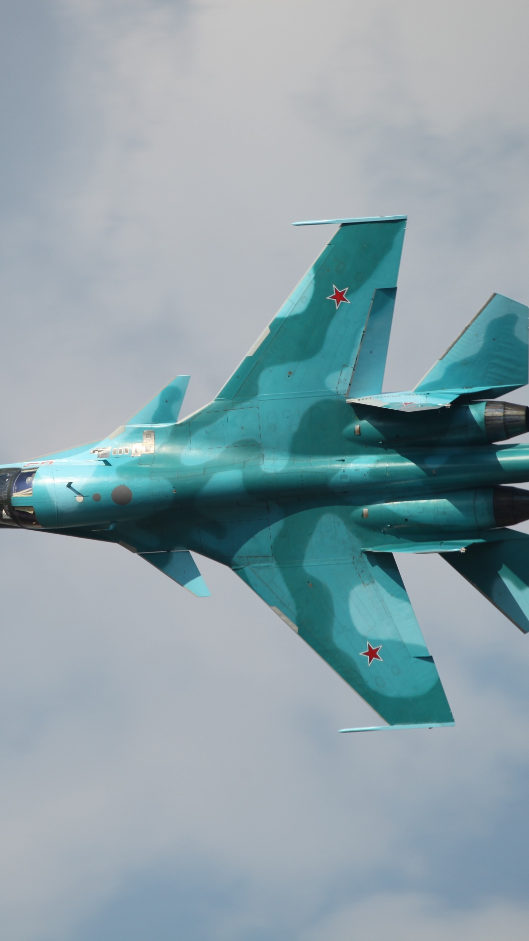 Обои самолеты, военный самолет, сухой, воздушные силы, самолет в разрешении 1080x1920