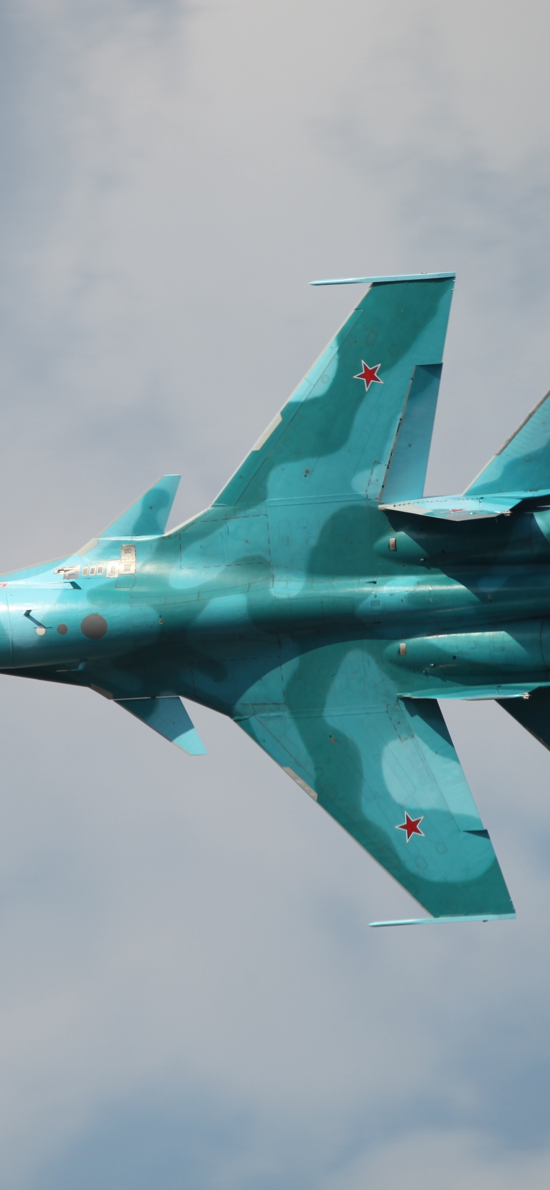 Обои самолеты, военный самолет, сухой, воздушные силы, самолет в разрешении 1125x2436