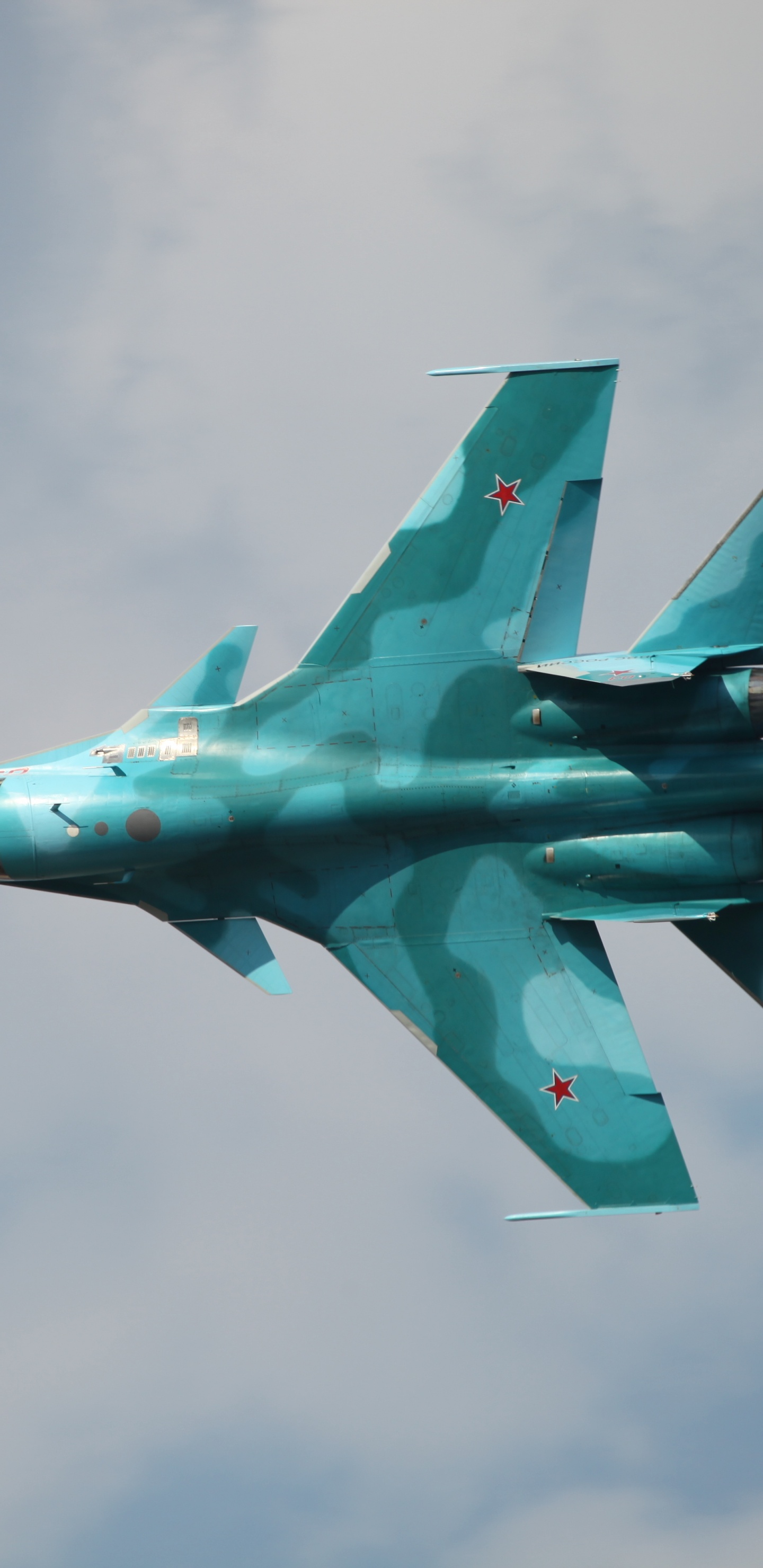 Обои самолеты, военный самолет, сухой, воздушные силы, самолет в разрешении 1440x2960