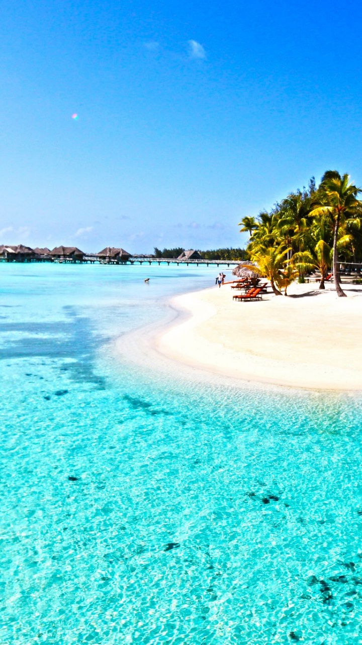 Обои пляж, борабора, море, тропическая зона, Карибский бассейн в разрешении 720x1280