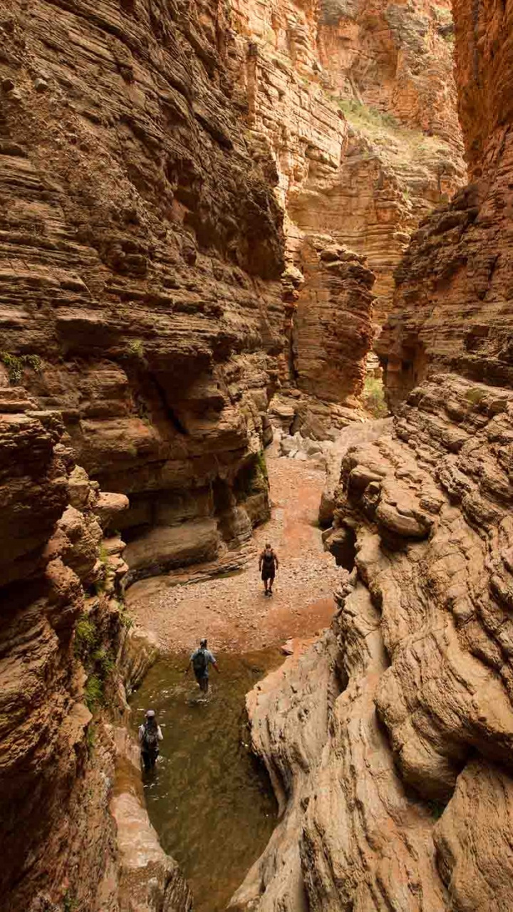 Обои большой каньон, каньон, национальный парк, формирование, рок в разрешении 720x1280