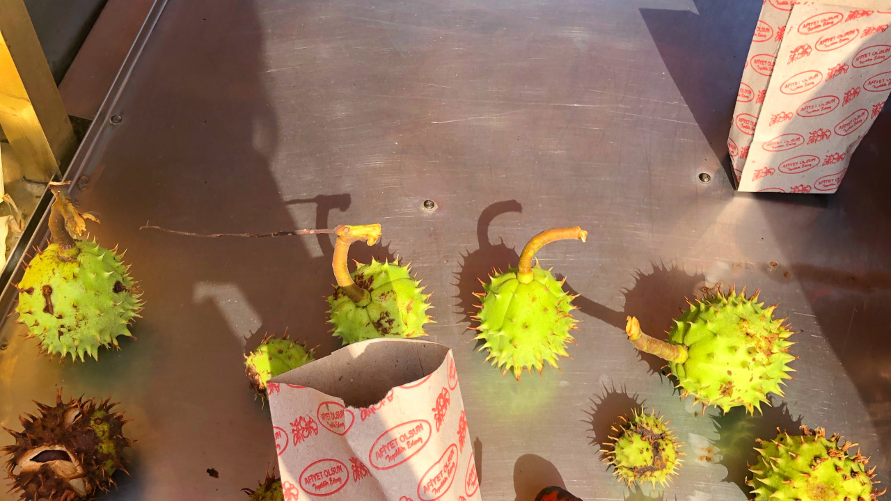 Обои пища, лепесток, семья ромашек, цветочный дизайн в разрешении 1280x720