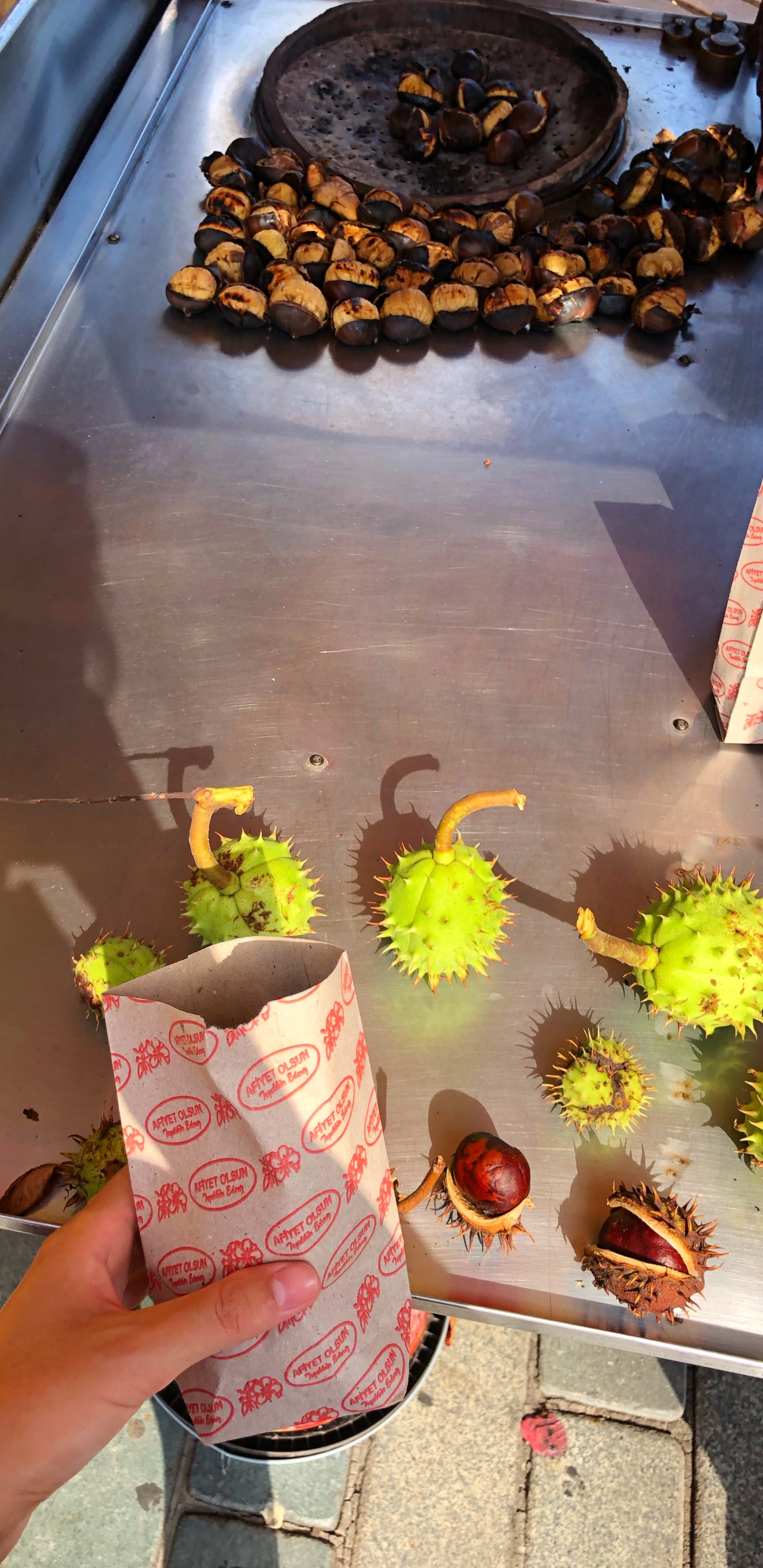 Обои пища, лепесток, семья ромашек, цветочный дизайн в разрешении 1440x2960