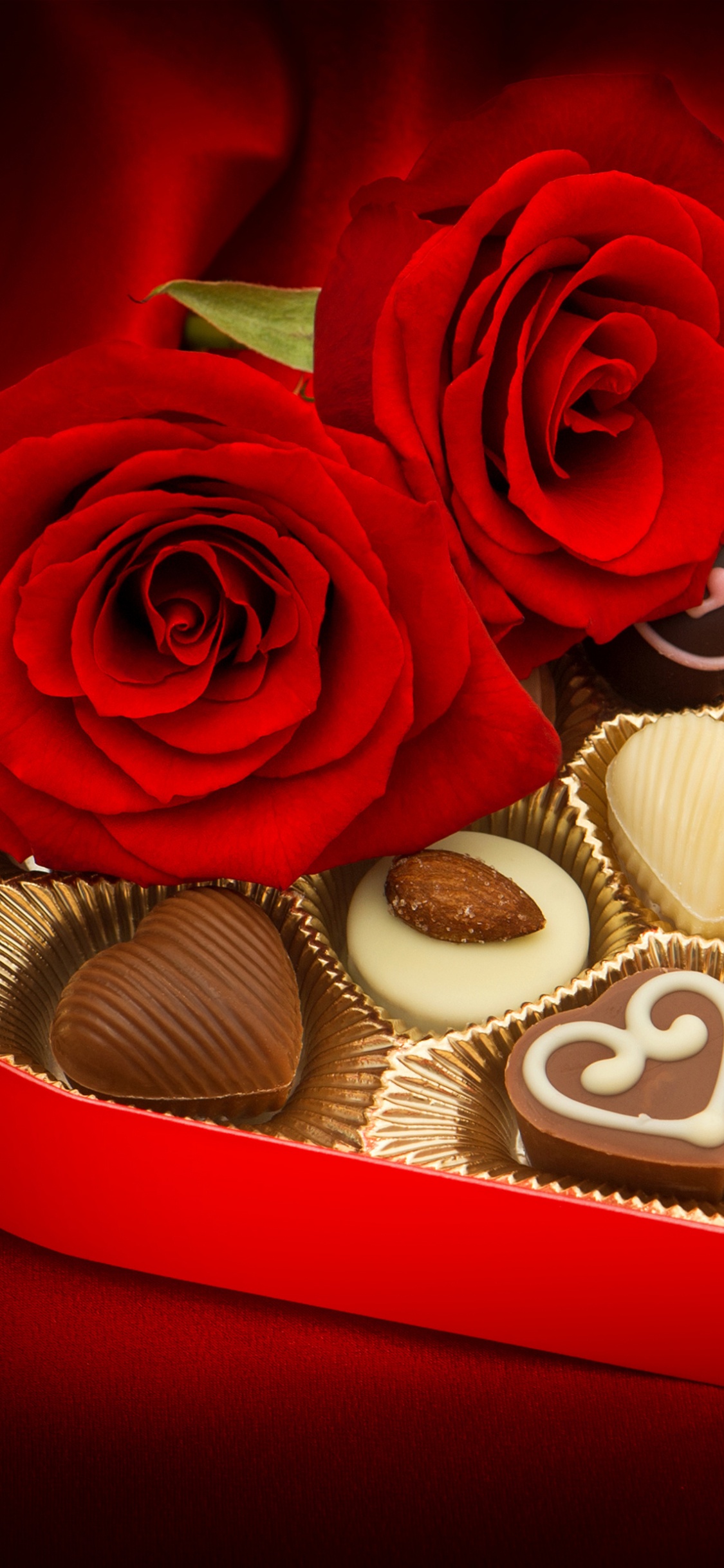 Обои День Святого Валентина, Роза, любовь, семья Роуз, сад роз в разрешении 1125x2436