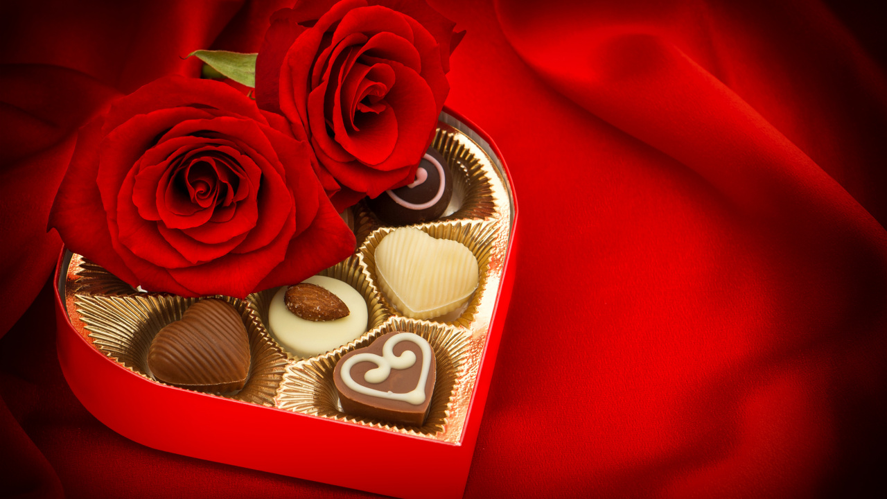 Обои День Святого Валентина, Роза, любовь, семья Роуз, сад роз в разрешении 1280x720