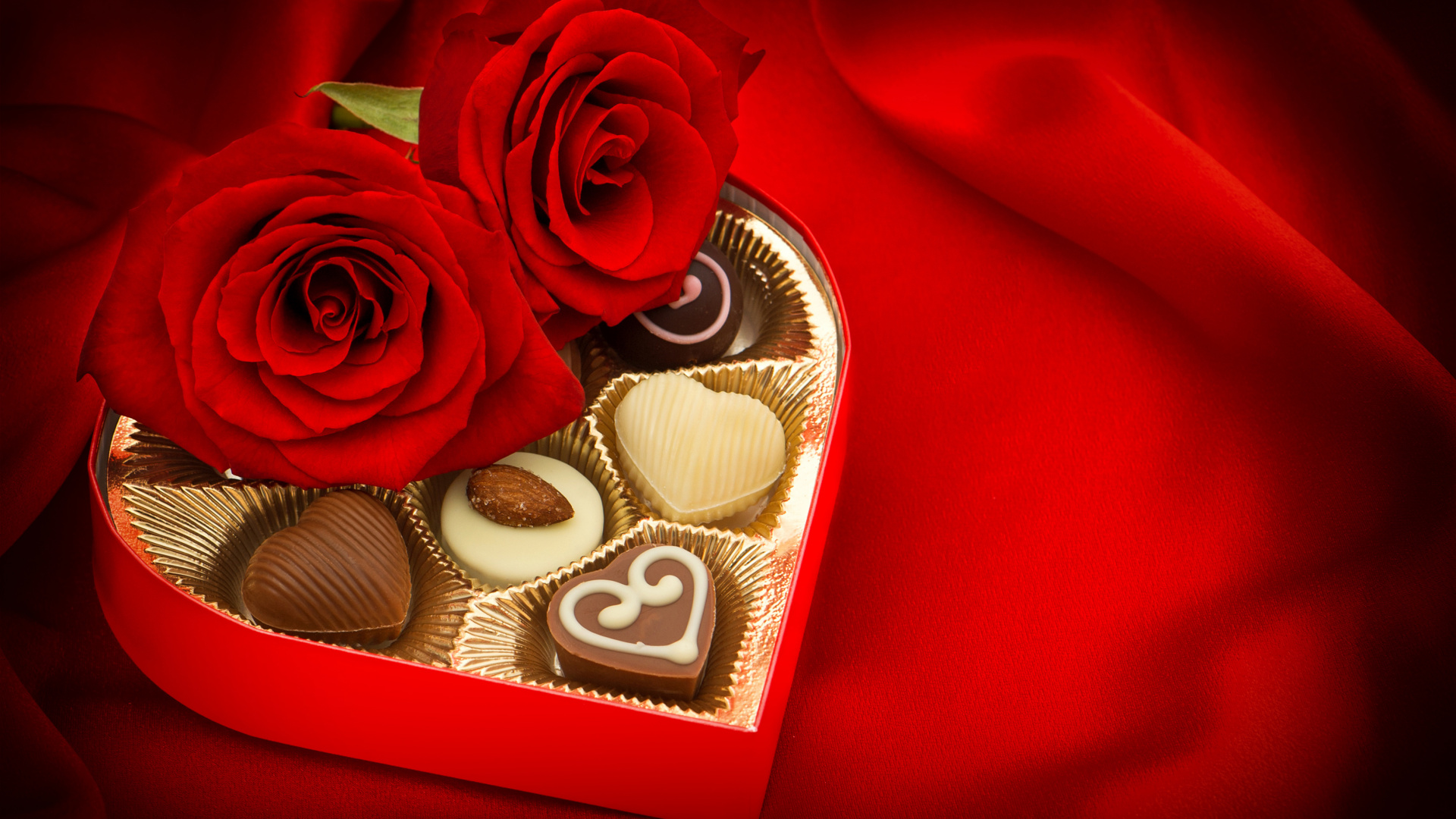 Обои День Святого Валентина, Роза, любовь, семья Роуз, сад роз в разрешении 1920x1080