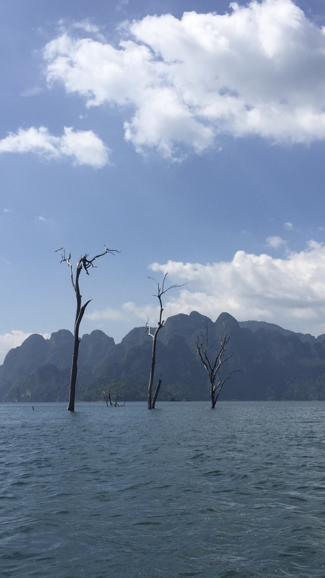 Обои фьорд, гидроресурсы, облако, водный путь, горный хребет в разрешении 1080x1920