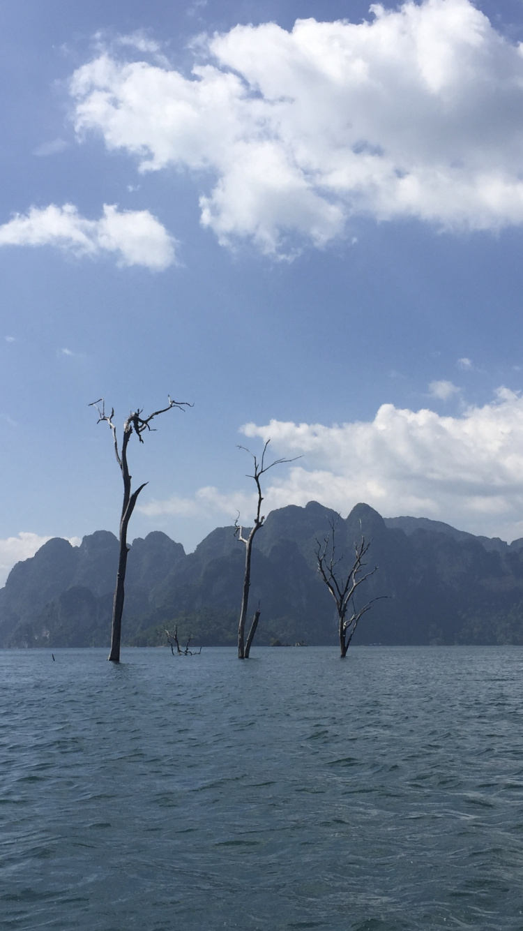 Обои фьорд, гидроресурсы, облако, водный путь, горный хребет в разрешении 750x1334