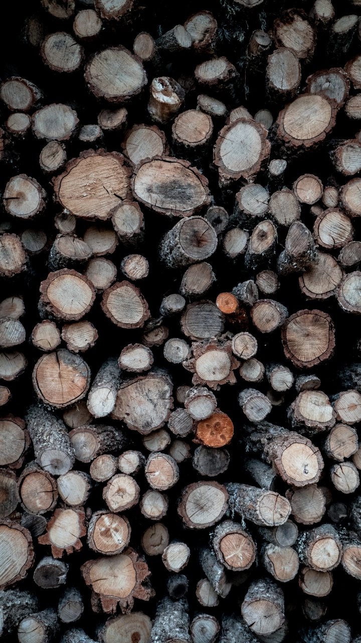 Обои узор, крупный план, растение, дерево, металл в разрешении 720x1280