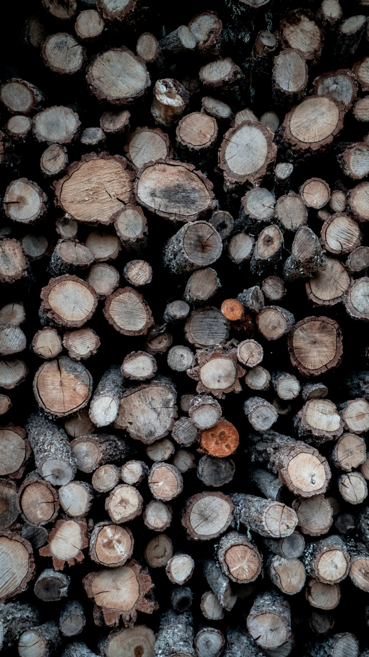 Обои узор, крупный план, растение, дерево, металл в разрешении 750x1334