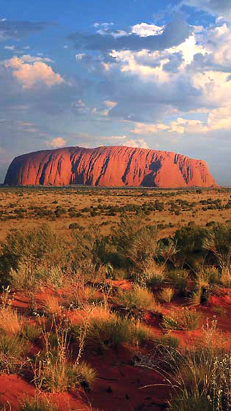 Обои природа, кустарник, дикая местность, национальный парк, пустыня в разрешении 750x1334