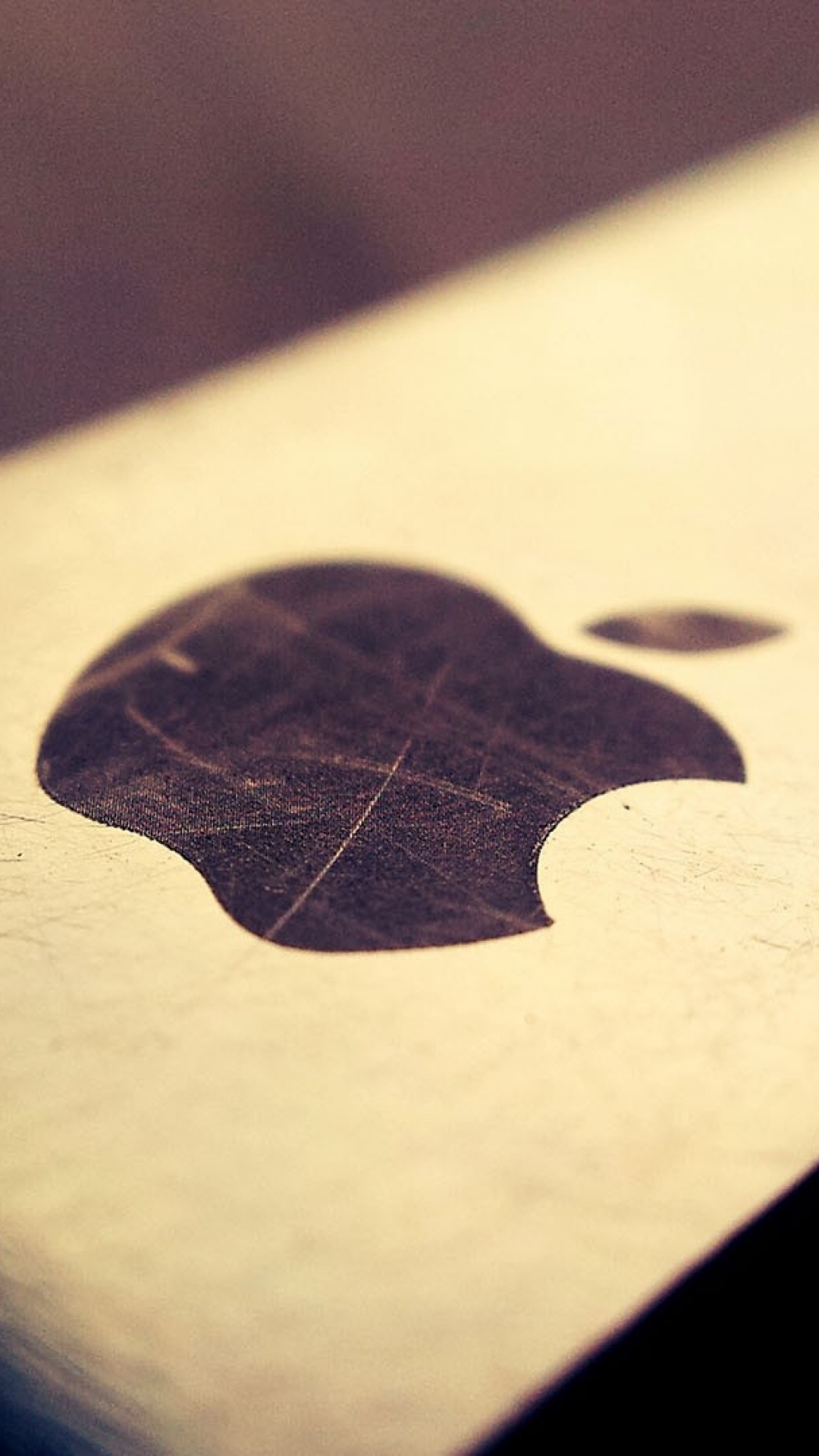 Обои apple, лист, иллюстрация, древесина, рука в разрешении 1080x1920