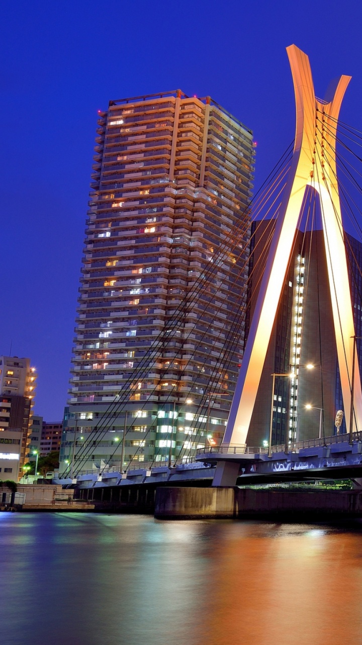 Обои вантовый мост, мост, городской пейзаж, ориентир, город в разрешении 720x1280