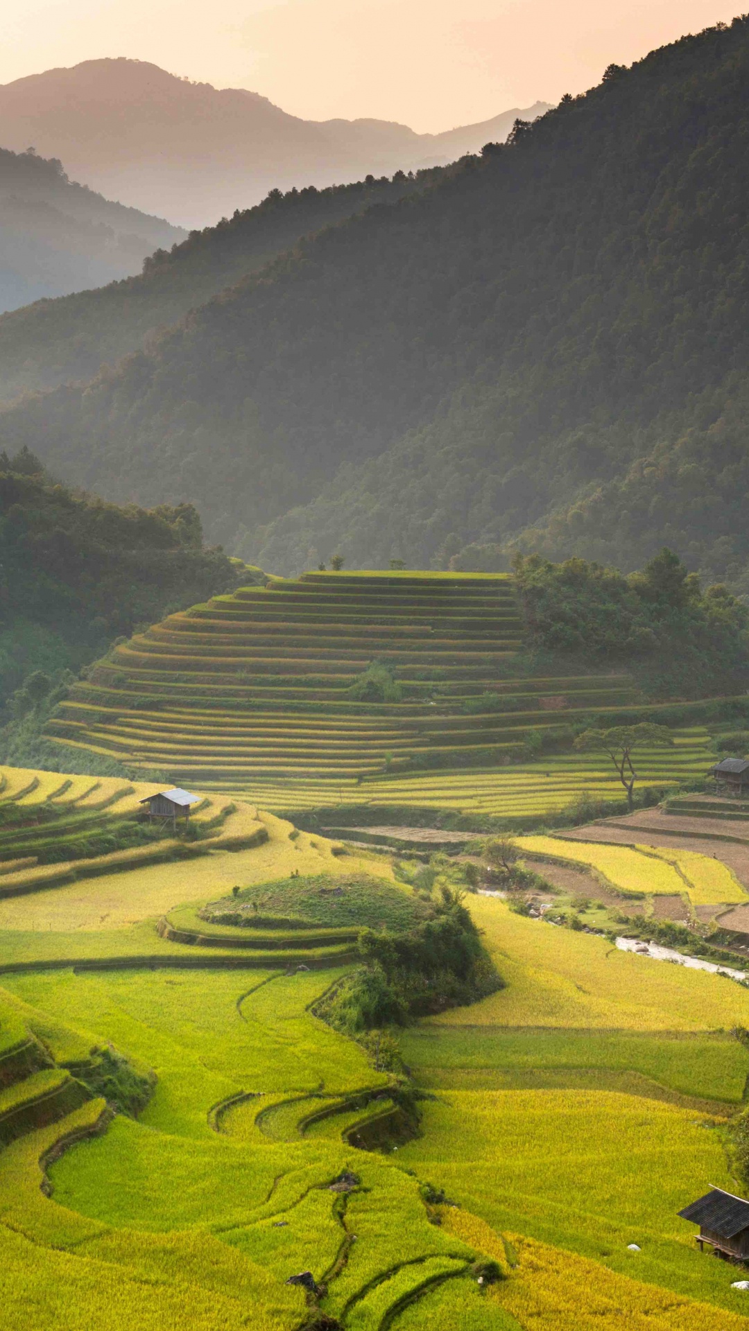 Обои Шапа, путешествие, терраса, нагорье, пейзаж в разрешении 1080x1920