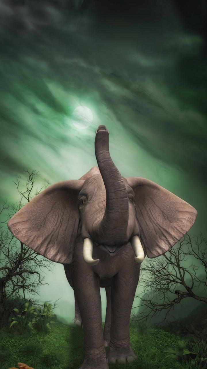 Обои Слон, живопись, постер, арт, красить бриллиантами в разрешении 720x1280