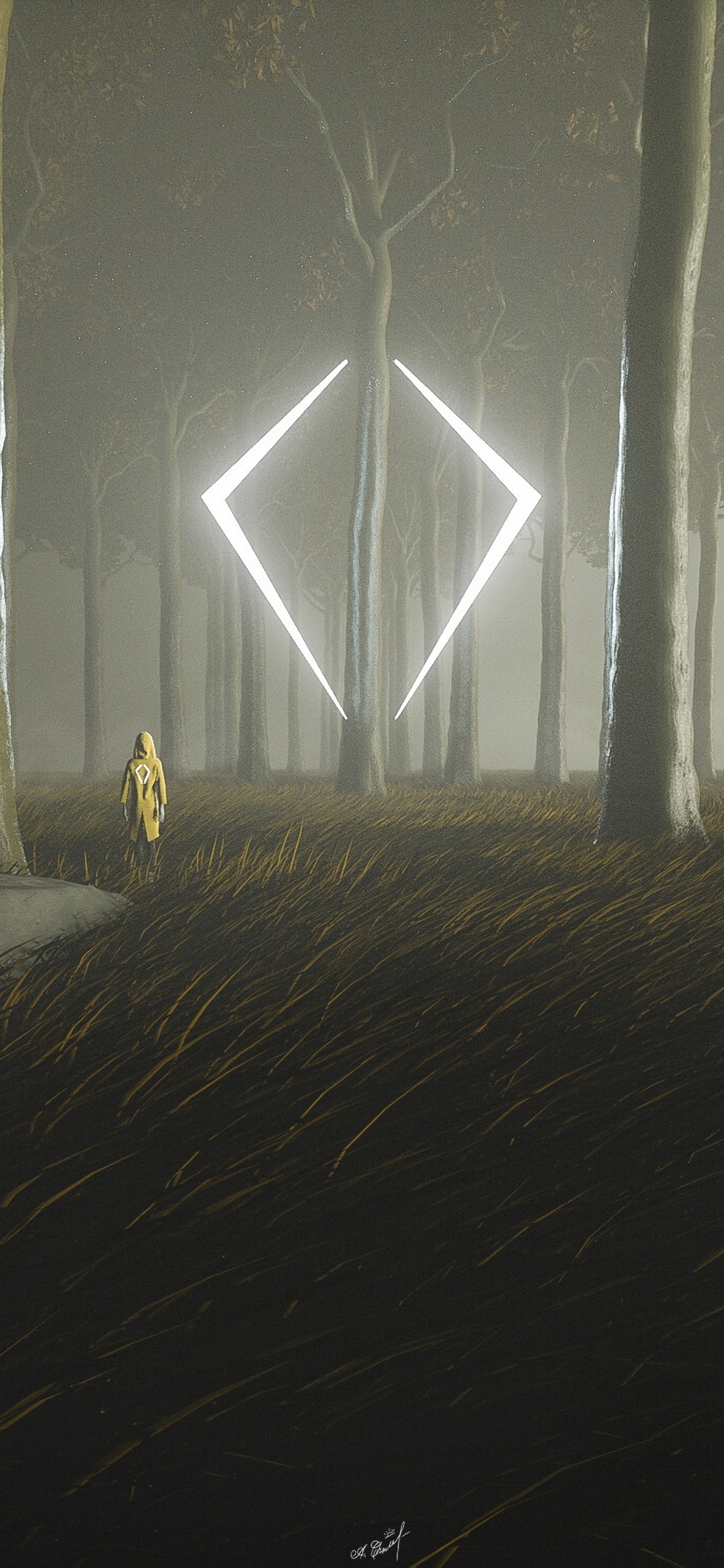 Обои свет, атмосфера, темнота, дерево, туман в разрешении 1125x2436