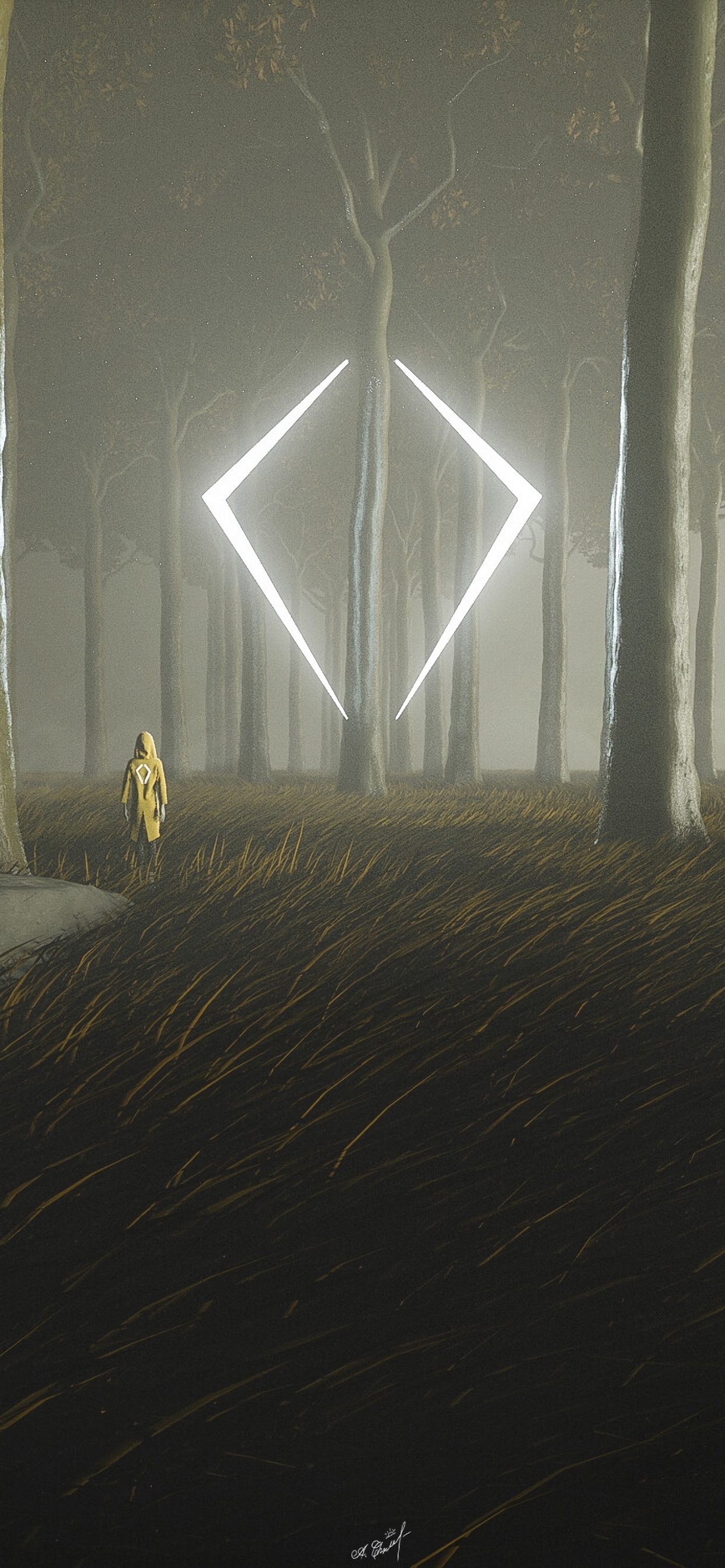 Обои свет, атмосфера, темнота, дерево, туман в разрешении 1242x2688