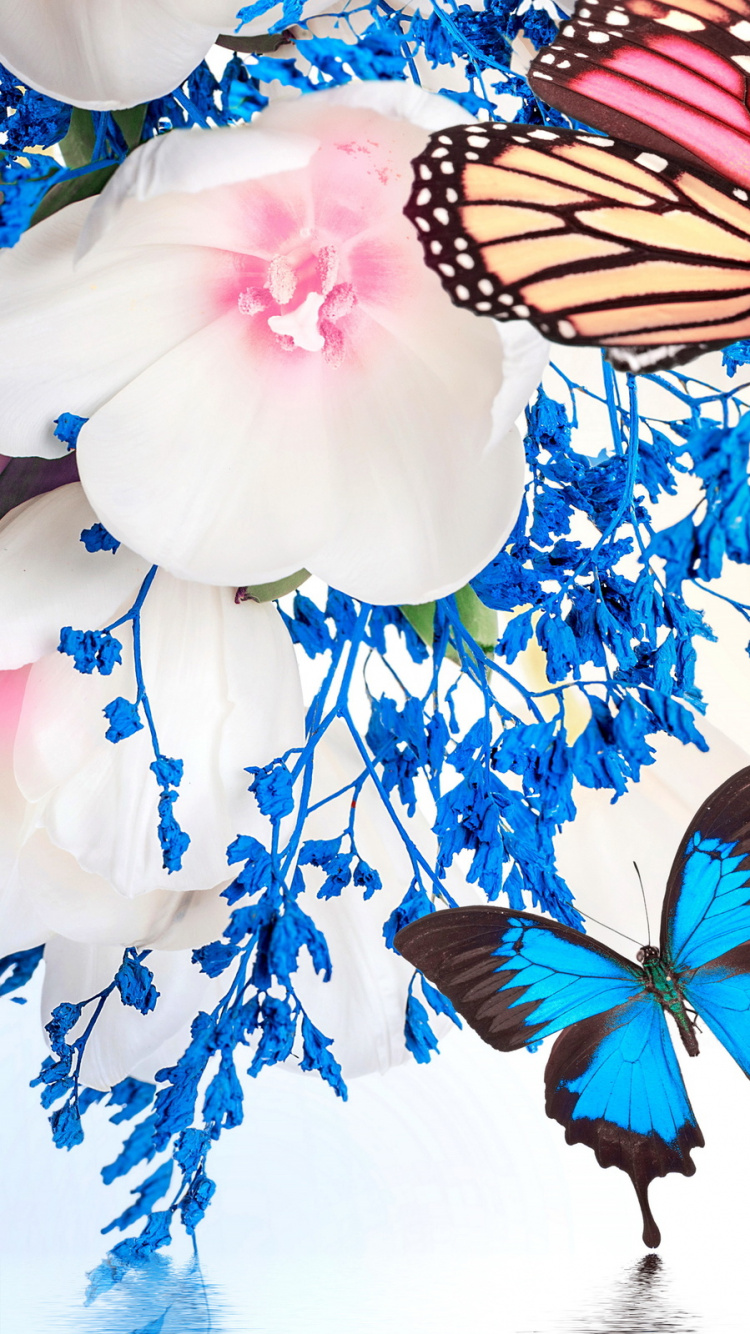 Обои бабочка, насекомое, мотыльки и бабочки, бабочкамонарх, опылитель в разрешении 750x1334