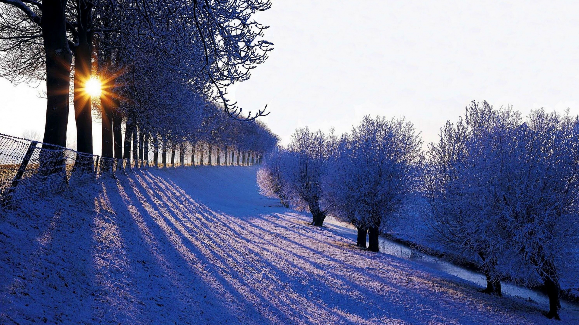 Обои зима, снег, природа, дерево, замораживание в разрешении 1920x1080