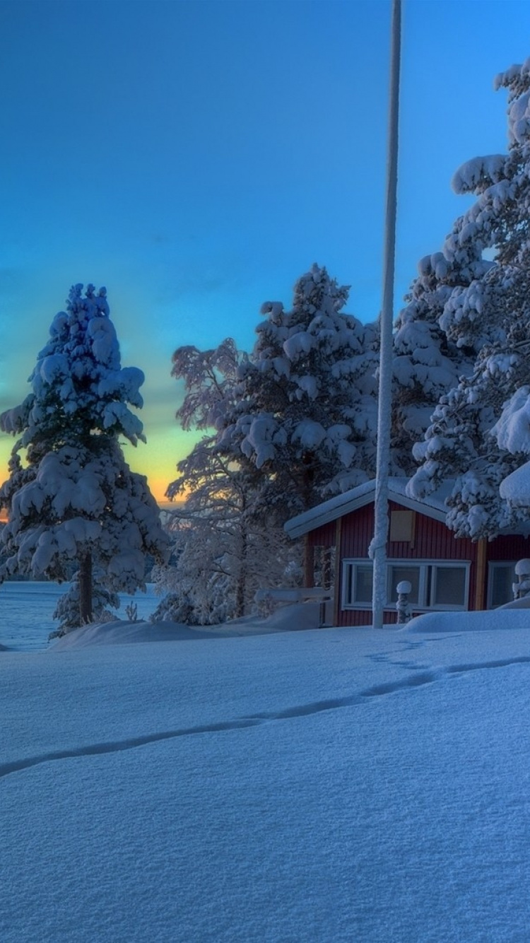 Обои зима, снег, закат, синий, дерево в разрешении 750x1334