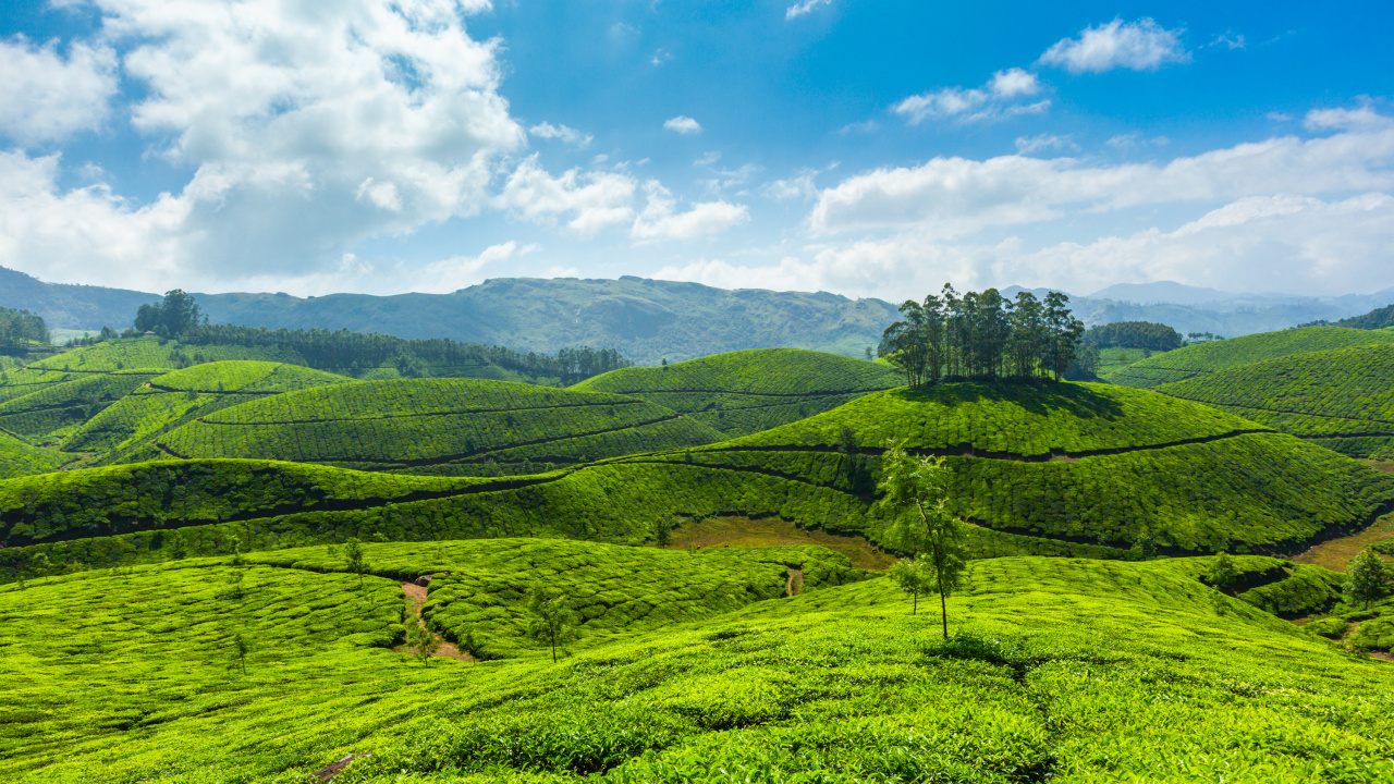 Обои теккади, Алаппужа, Кумараком, коти, горная станция в разрешении 1280x720