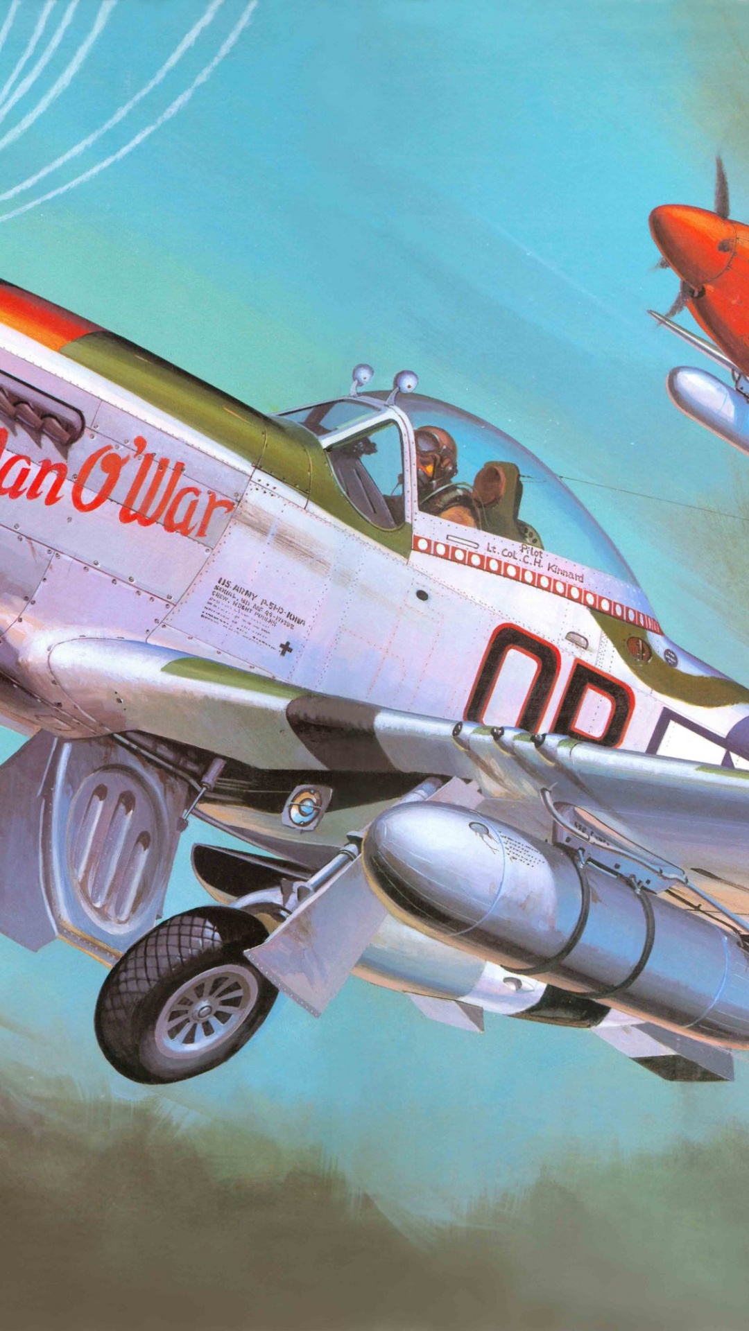 Обои P-51D, корпорация хасегава, пластиковая модель, самолеты, самолет в разрешении 1080x1920