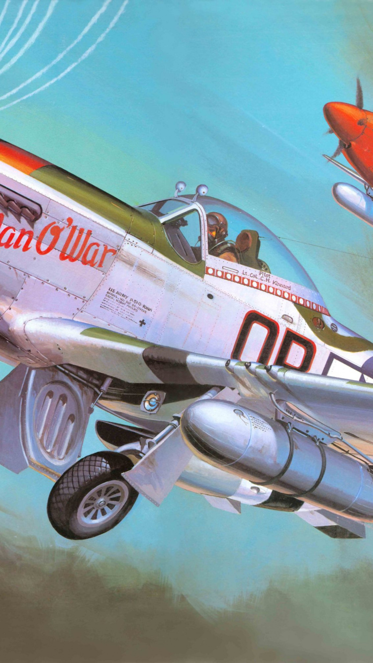 Обои P-51D, корпорация хасегава, пластиковая модель, самолеты, самолет в разрешении 750x1334