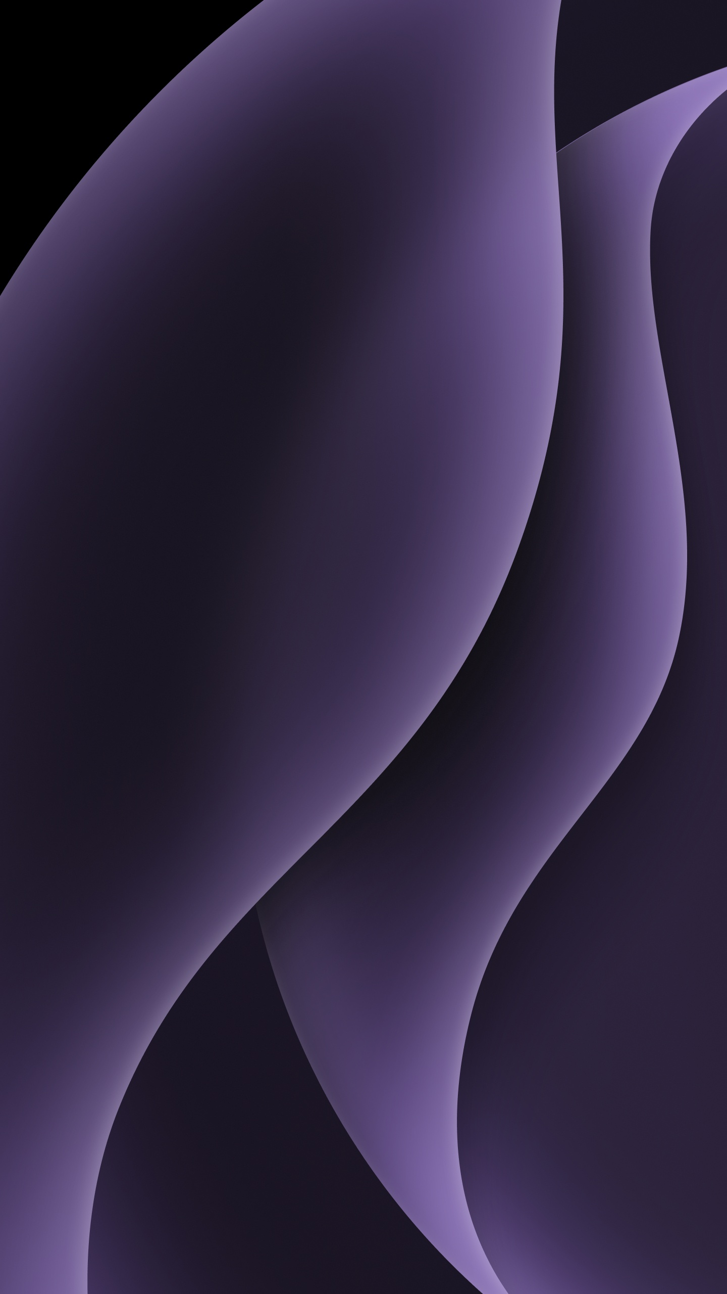 Обои абстрактные обои, растение, пурпур, серый цвет, Фиолетовый в разрешении 1440x2560