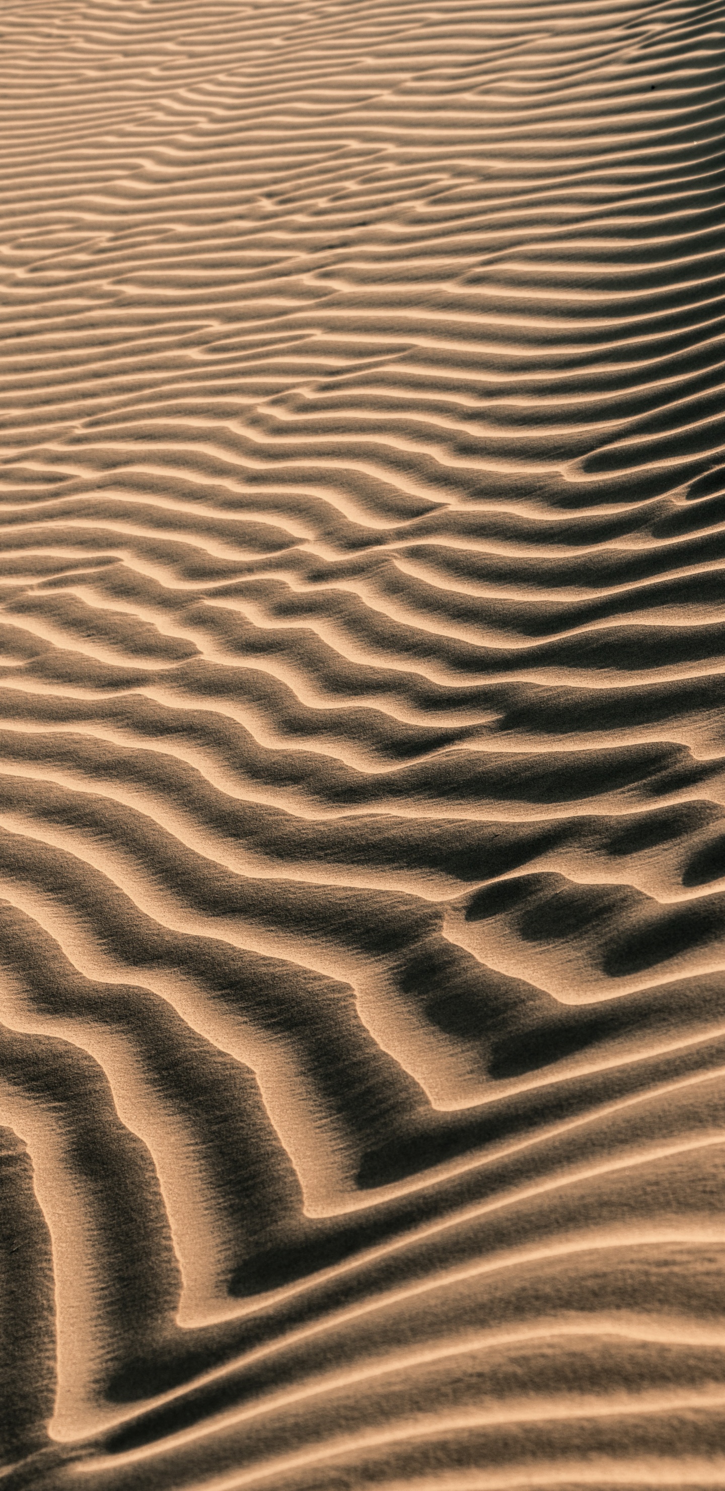 Обои песок, коричневый цвет, эрг, арт, пейзаж в разрешении 1440x2960