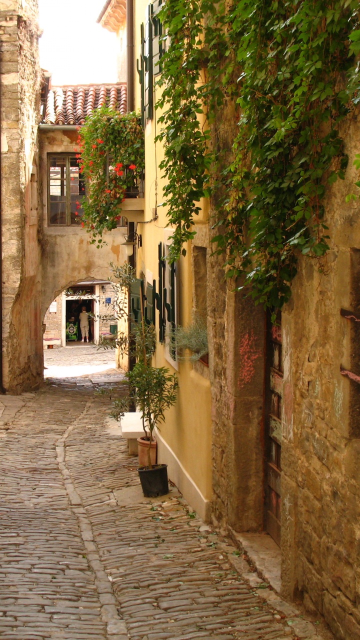 Обои Gronjan, пора, Мирна, аллея, улица в разрешении 720x1280