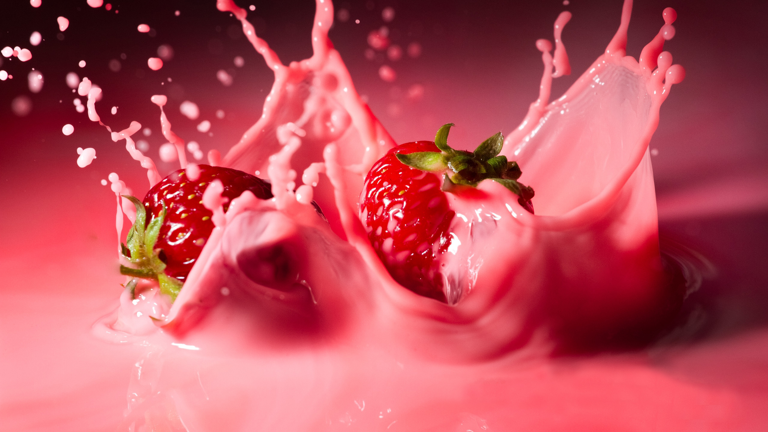 Обои клубника, фрукты, красный цвет, сладость, цветок в разрешении 2560x1440