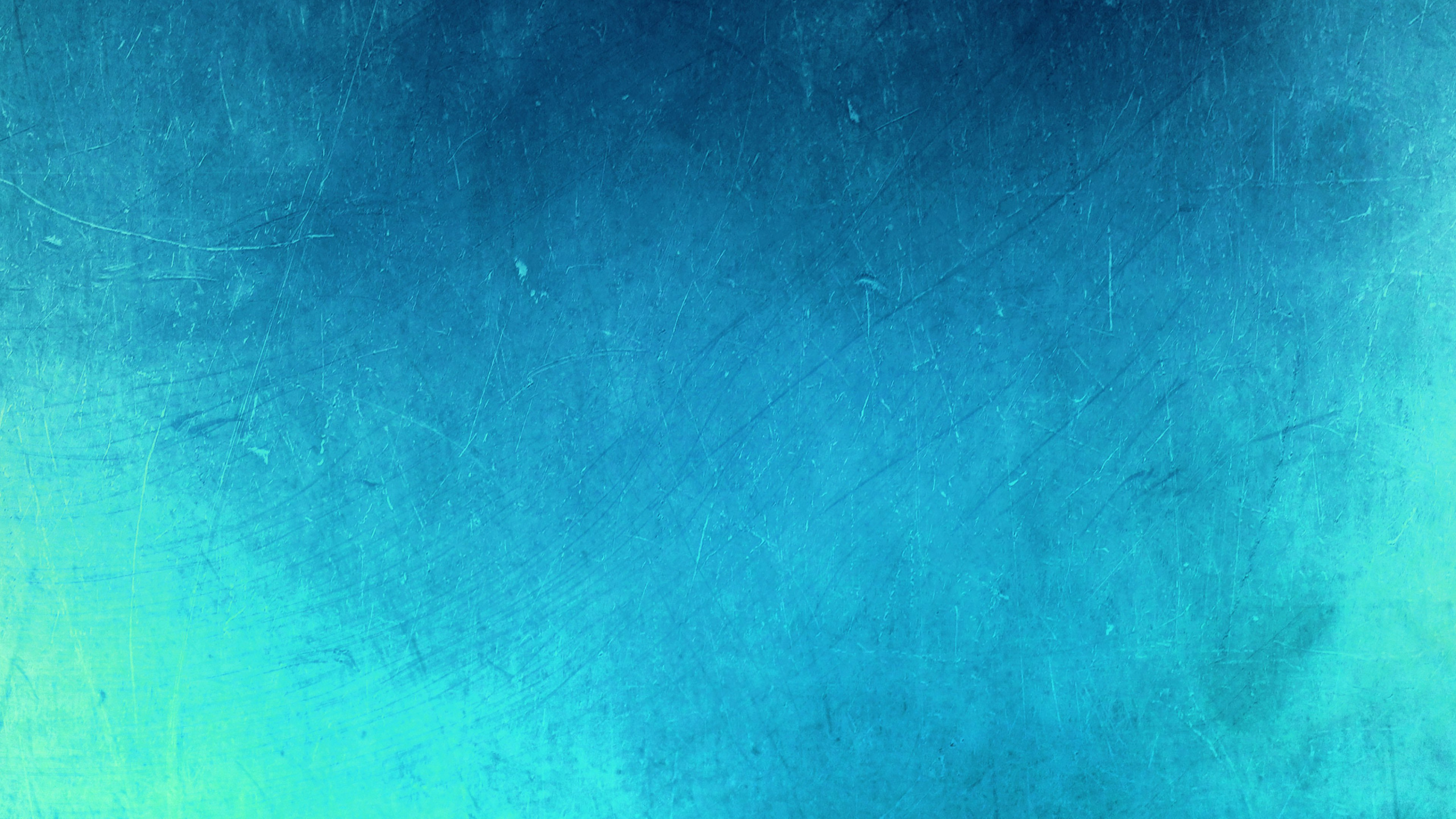 Обои синий, зеленый, Аква, бирюза, чирок в разрешении 2560x1440