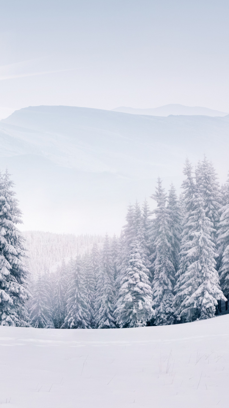 Обои снежный пейзаж бесплатно, снег, пейзаж, природа, зима в разрешении 750x1334