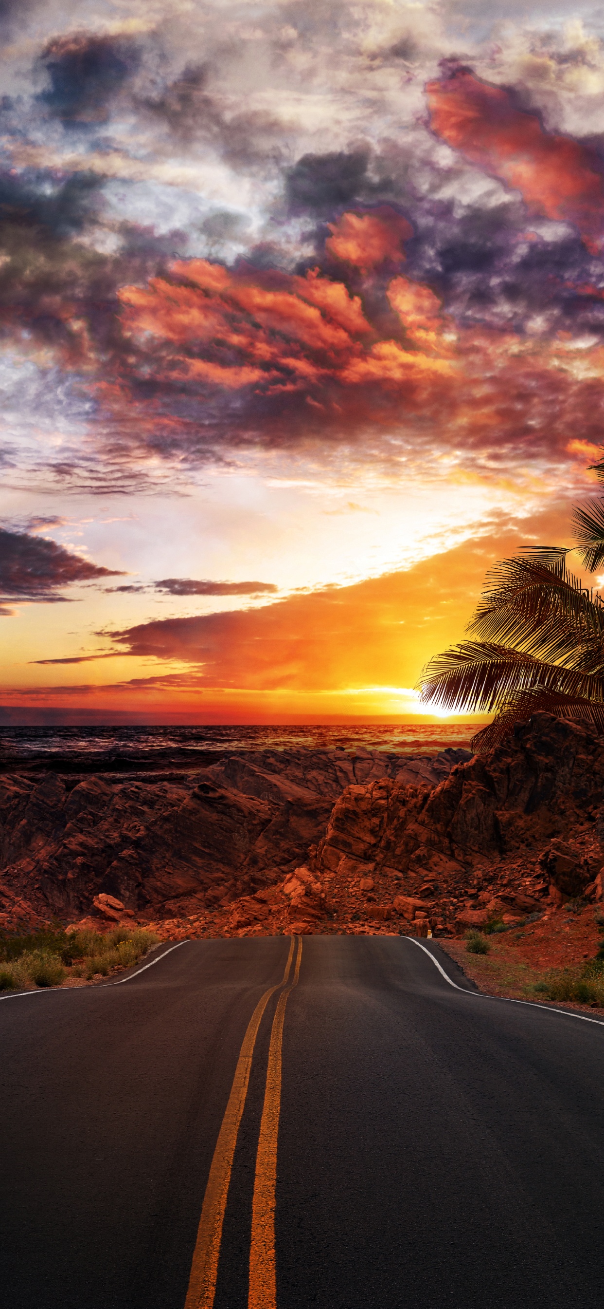 Обои облако, растение, инфраструктура, природный ландшафт, дорожное покрытие в разрешении 1242x2688