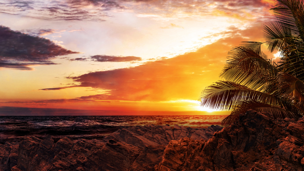 Обои облако, растение, инфраструктура, природный ландшафт, дорожное покрытие в разрешении 1280x720