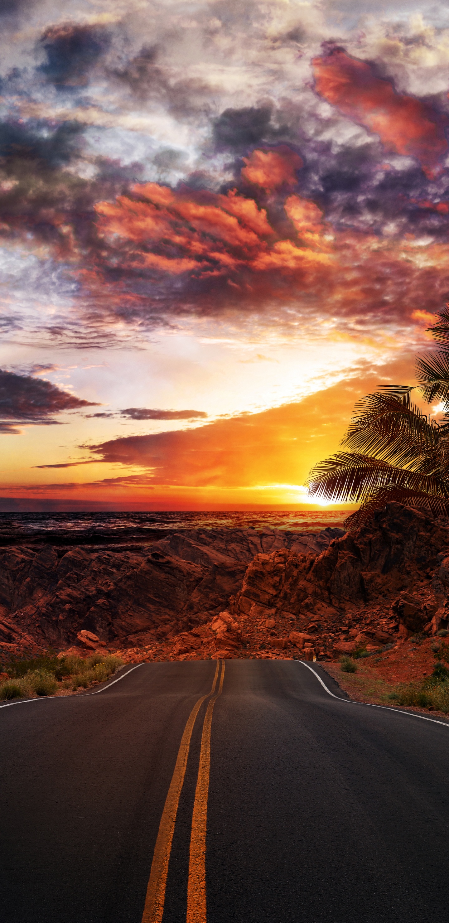 Обои облако, растение, инфраструктура, природный ландшафт, дорожное покрытие в разрешении 1440x2960