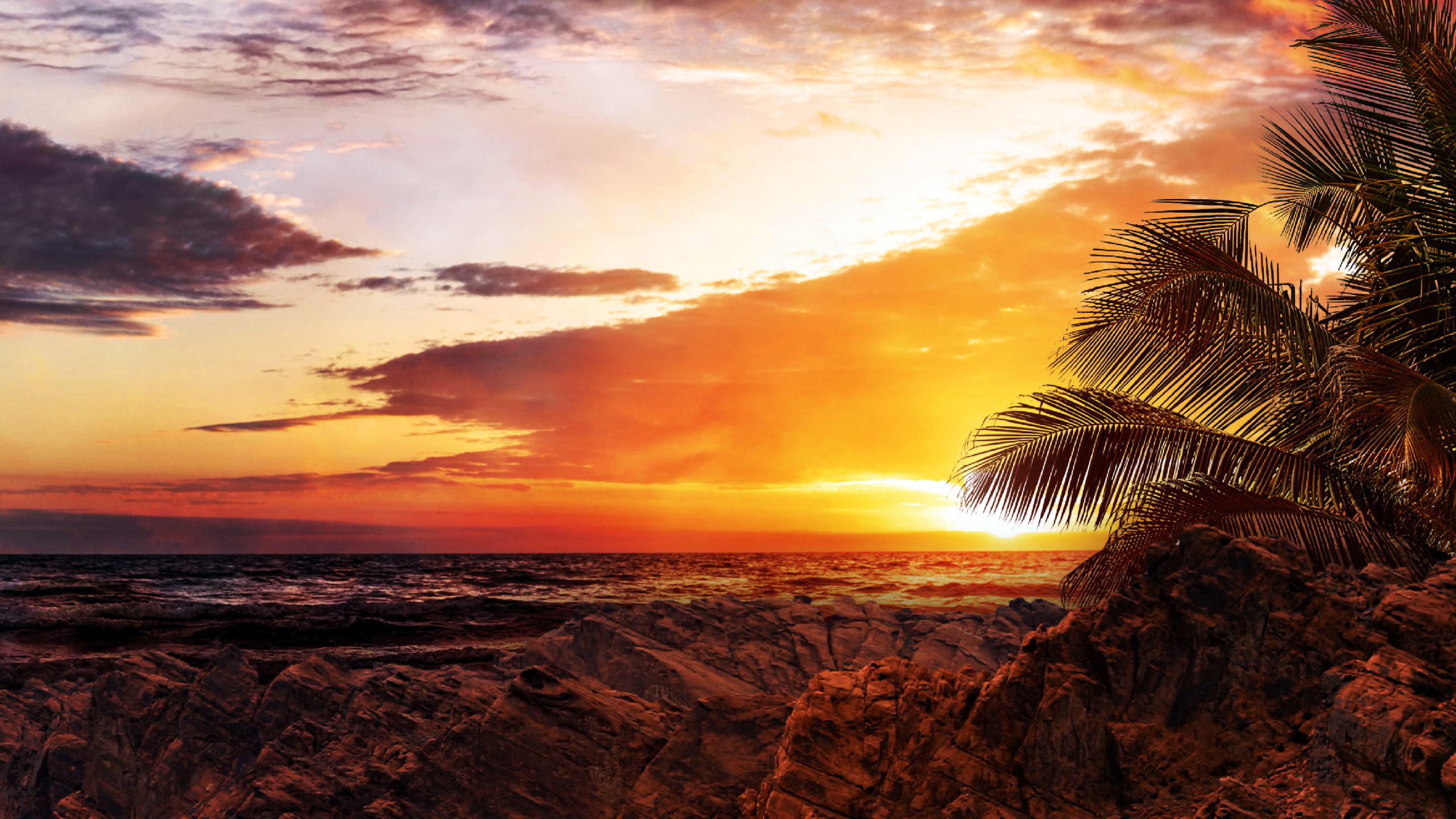 Обои облако, растение, инфраструктура, природный ландшафт, дорожное покрытие в разрешении 2560x1440