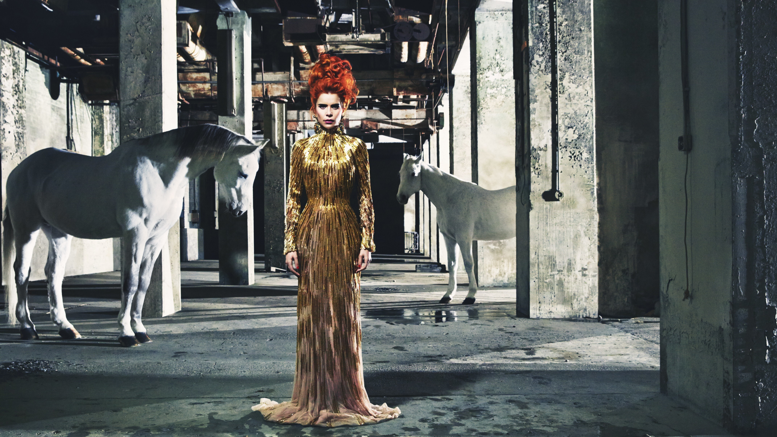 Обои Палома Фейт, знаменитость, дерево, конь, музыка в разрешении 2560x1440