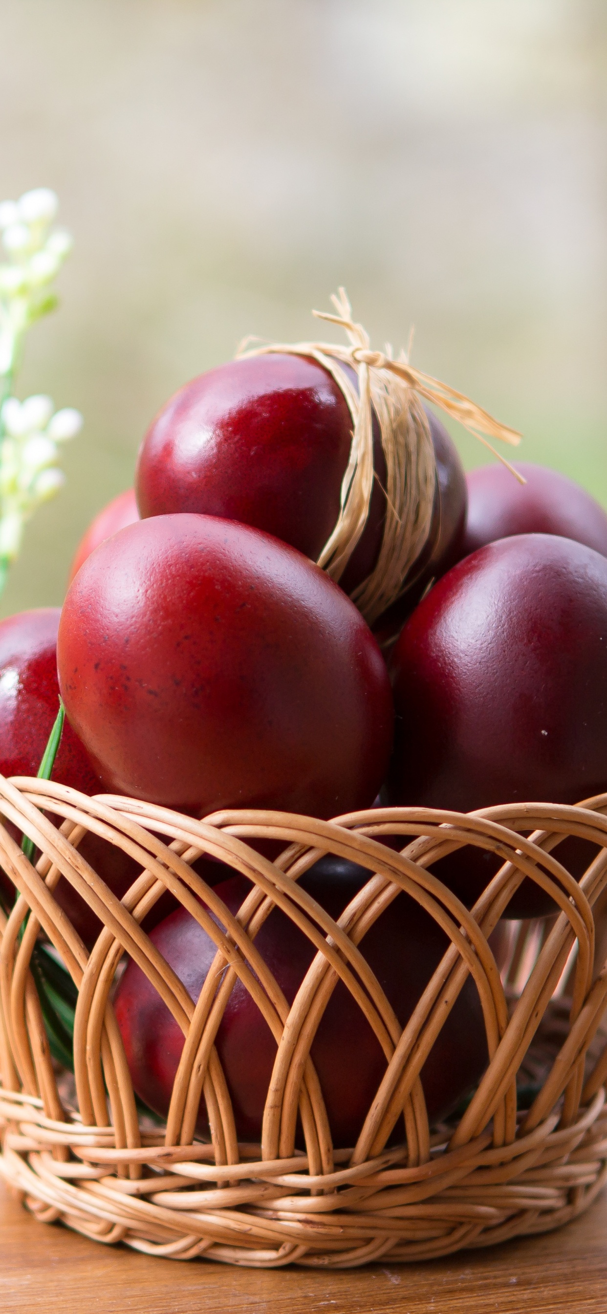 Обои природные продукты, фрукты, пища, суперфуд, растение в разрешении 1242x2688