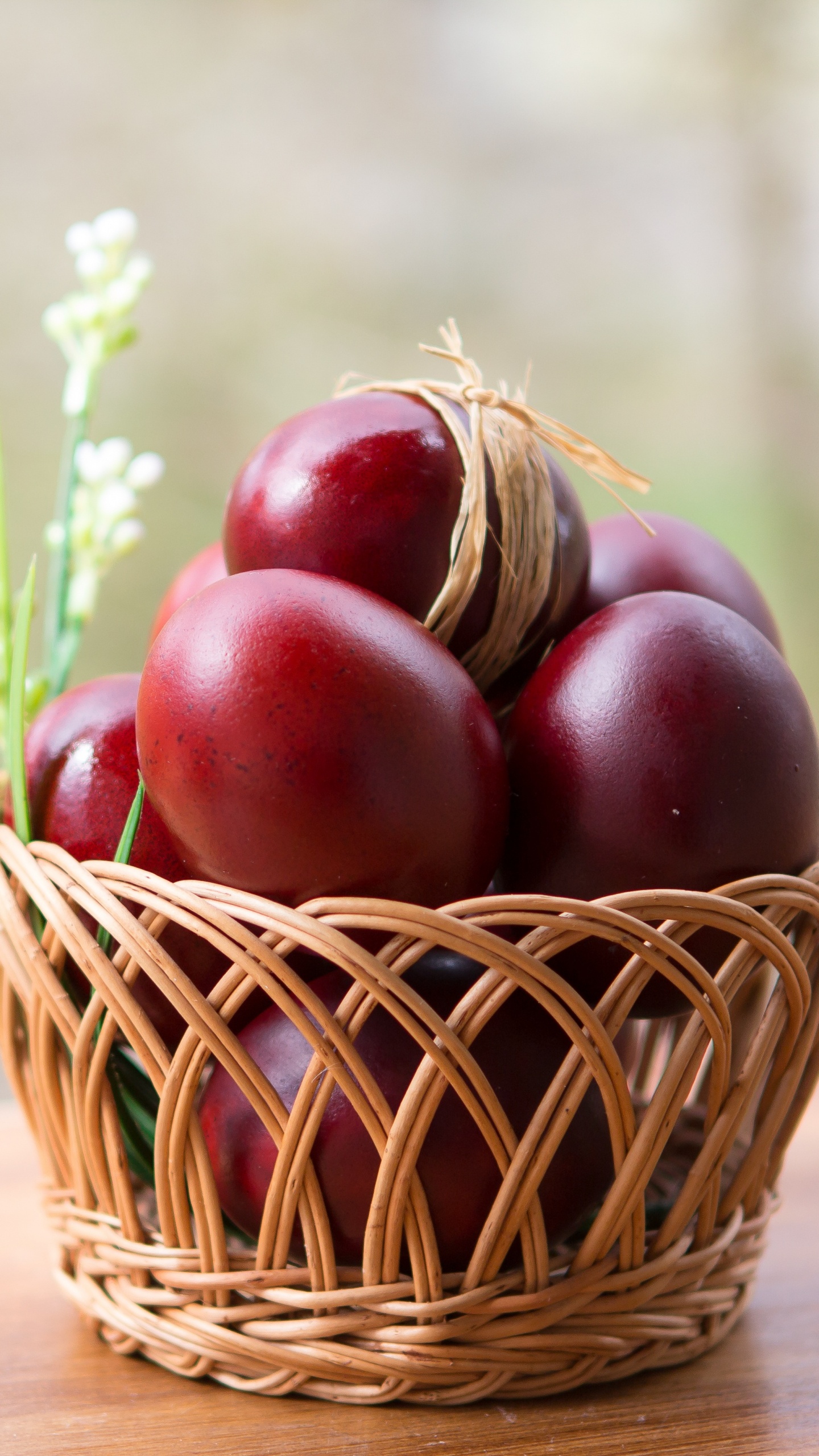 Обои природные продукты, фрукты, пища, суперфуд, растение в разрешении 1440x2560