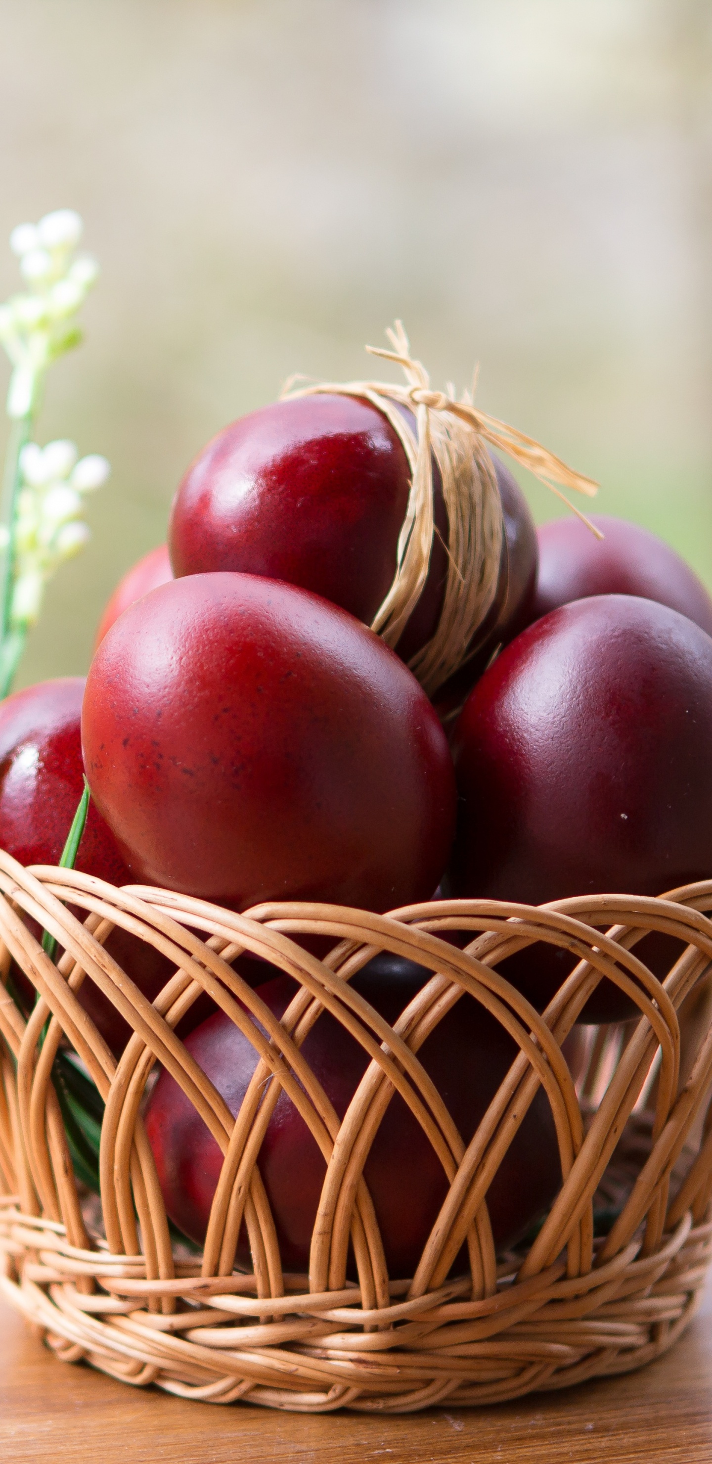 Обои природные продукты, фрукты, пища, суперфуд, растение в разрешении 1440x2960