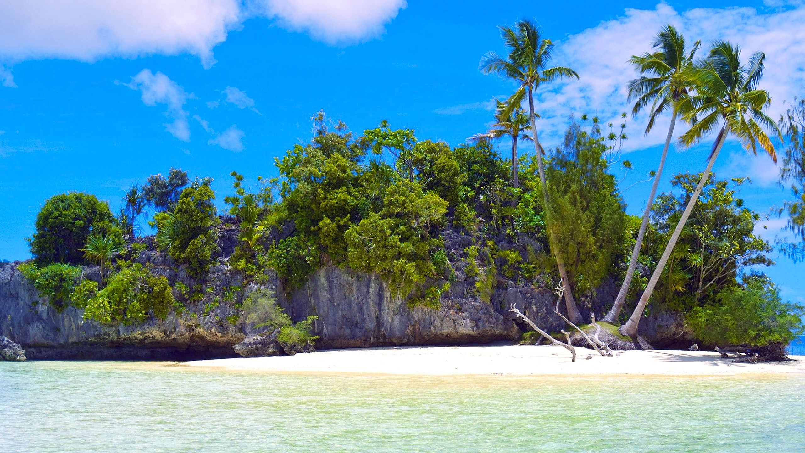 Обои рок-Айленд, Остров, природа, тропическая зона, растительность в разрешении 2560x1440