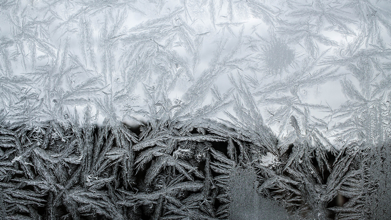 Обои орнамент, черный и белый, зима, текстура, мороз в разрешении 1280x720