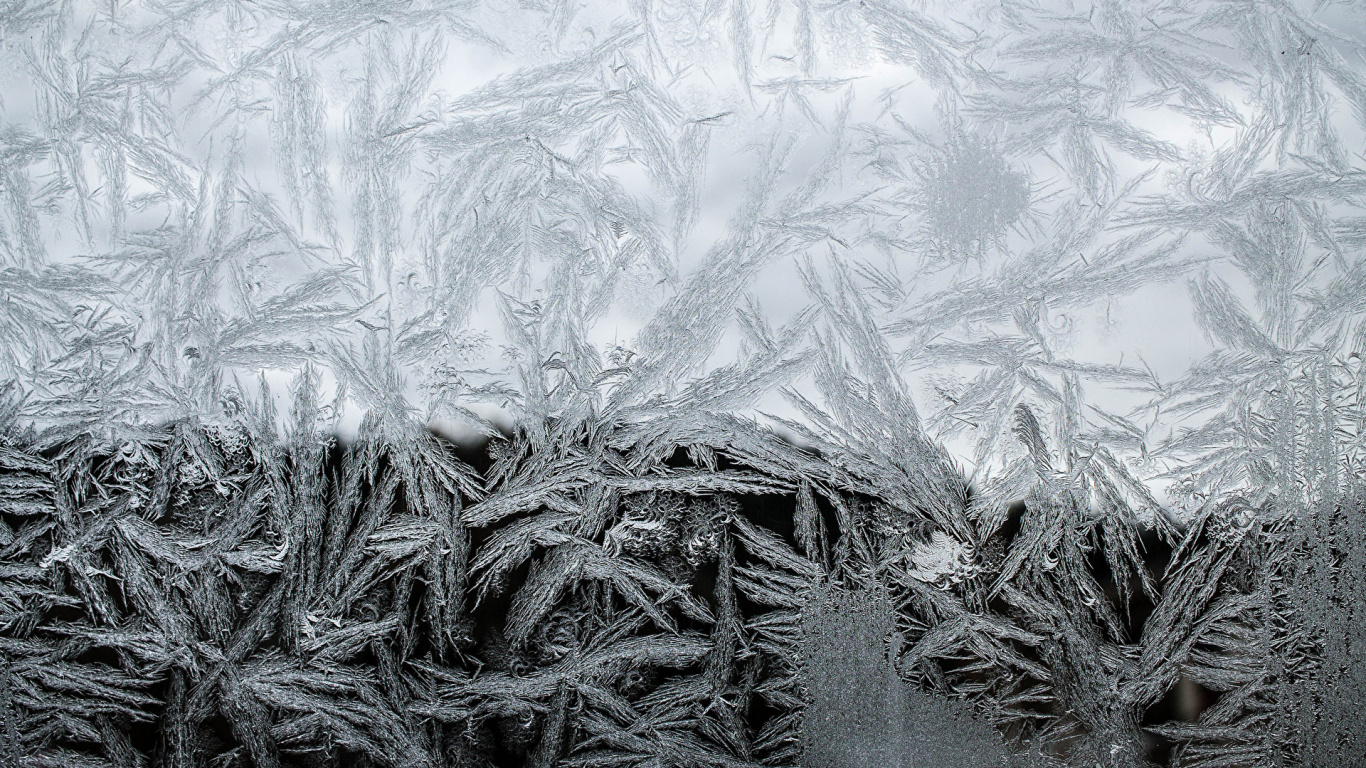 Обои орнамент, черный и белый, зима, текстура, мороз в разрешении 1366x768